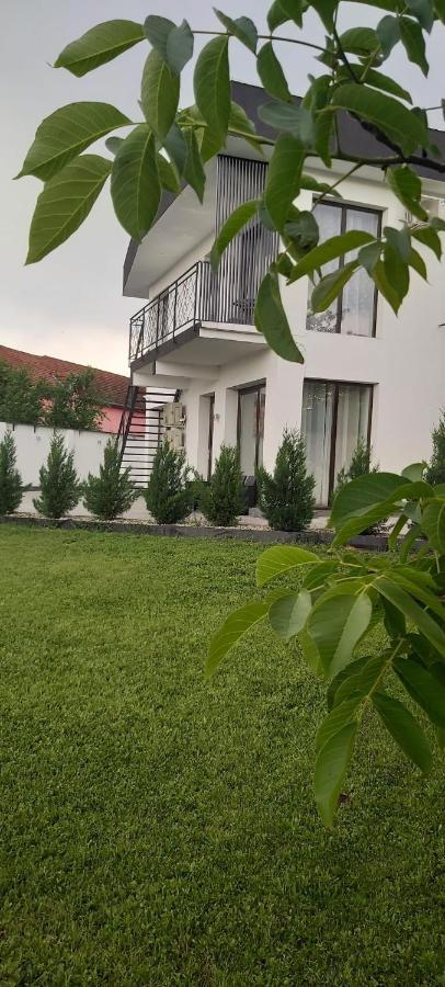 Accent Garden Lägenhet Deva Exteriör bild
